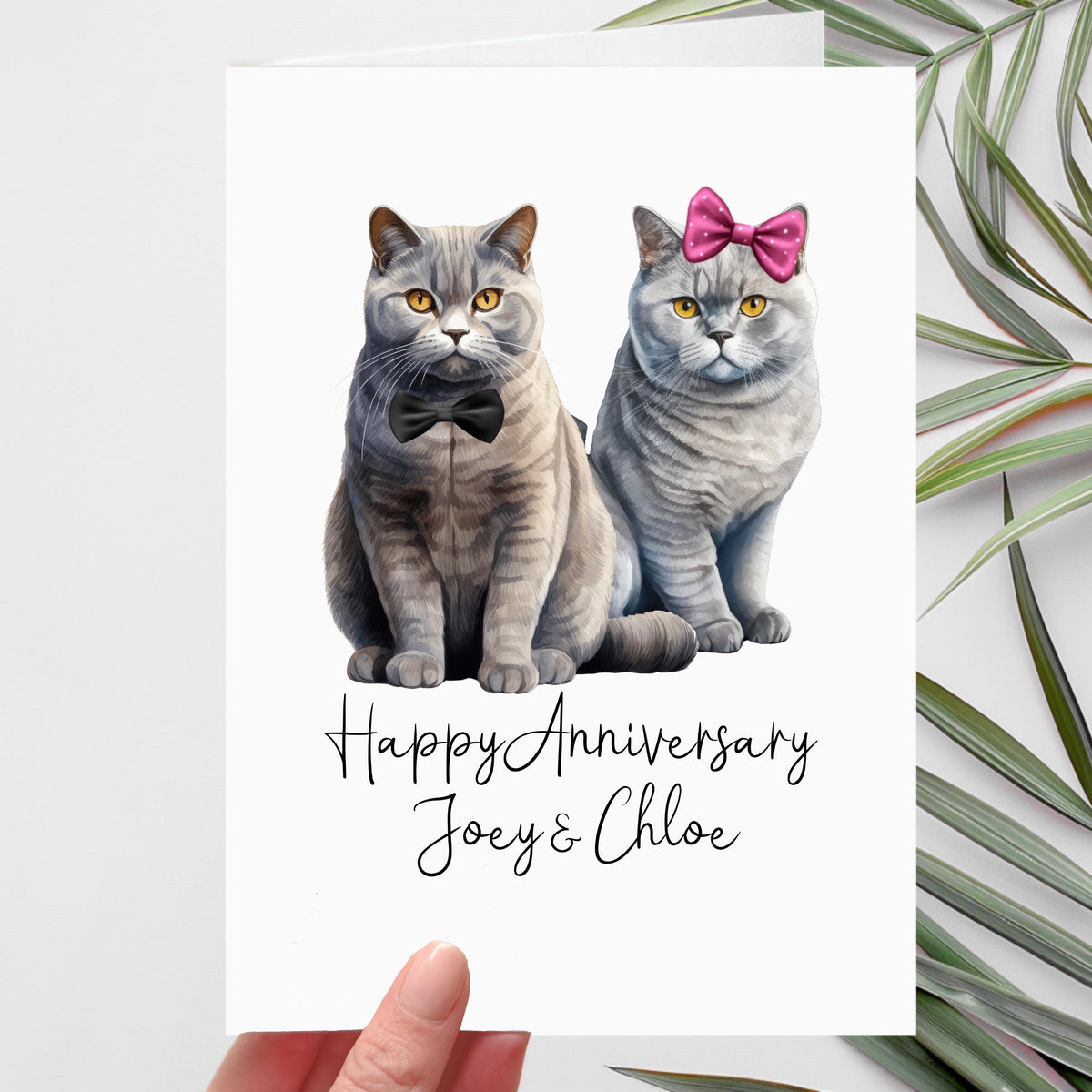 British Blue Cat Anniversary Card Personalised