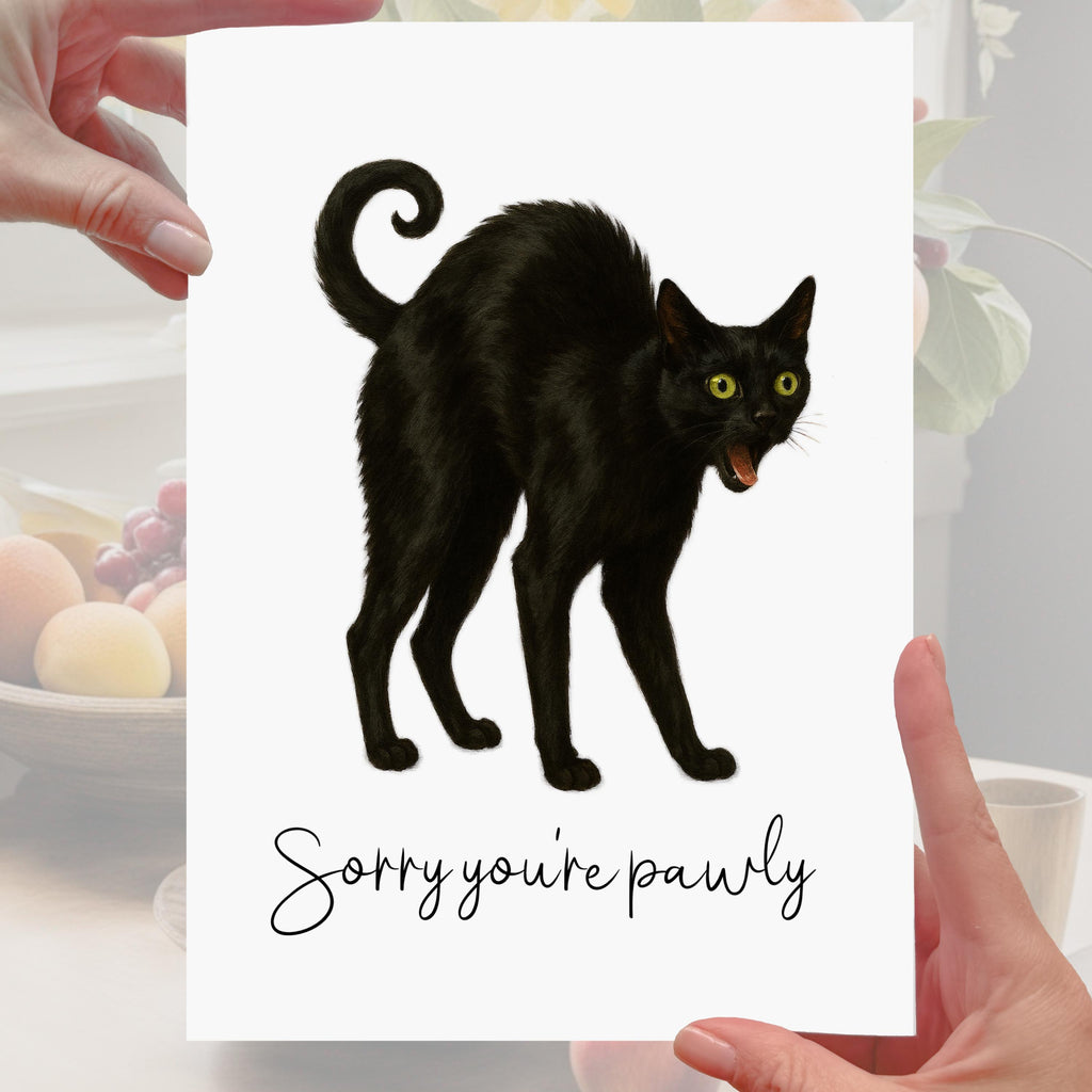 Set of 3 Cat Get Well Cards, Cone of Shame, knee operation replacement