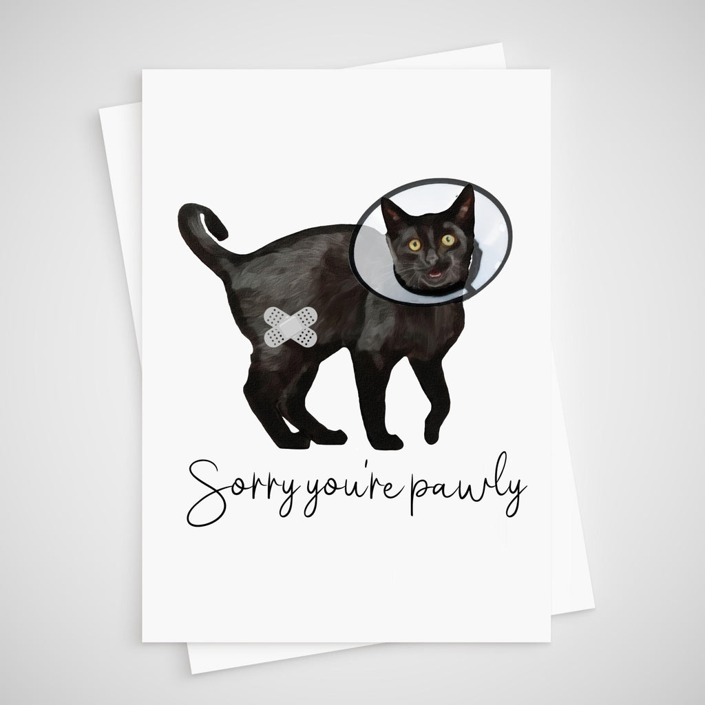 Set of 3 Cat Get Well Cards, Cone of Shame, knee operation replacement